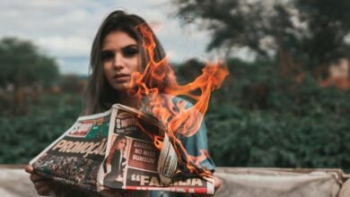 celebrity gossip entertainment success